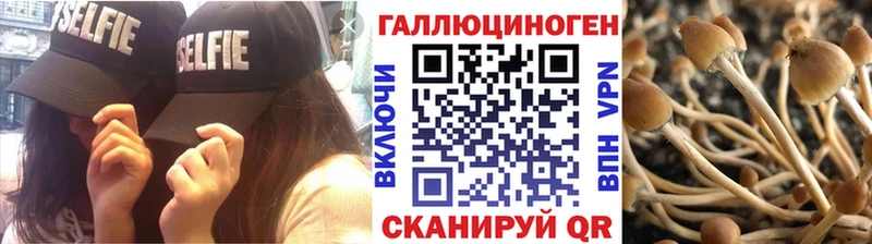 Галлюциногенные грибы GOLDEN TEACHER  МЕГА tor  Муравленко 
